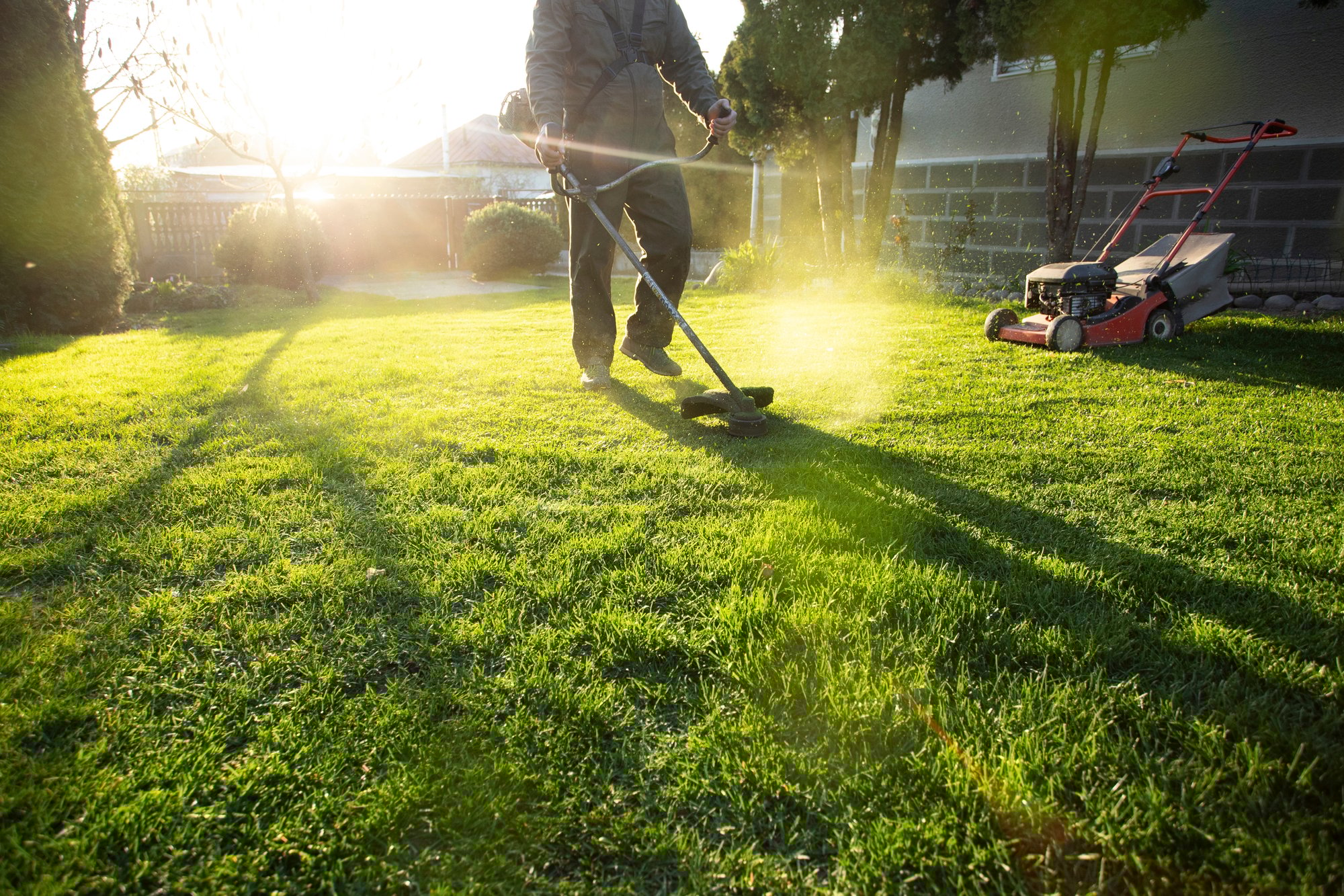 lawns maintained